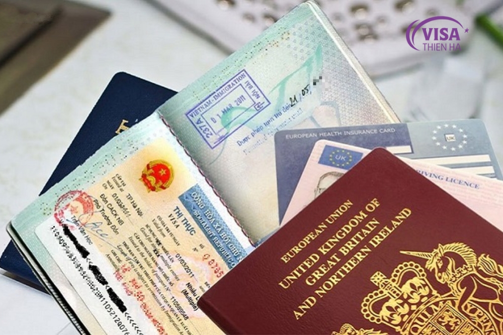 visa thương mại