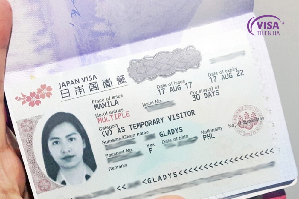 visa thương mại