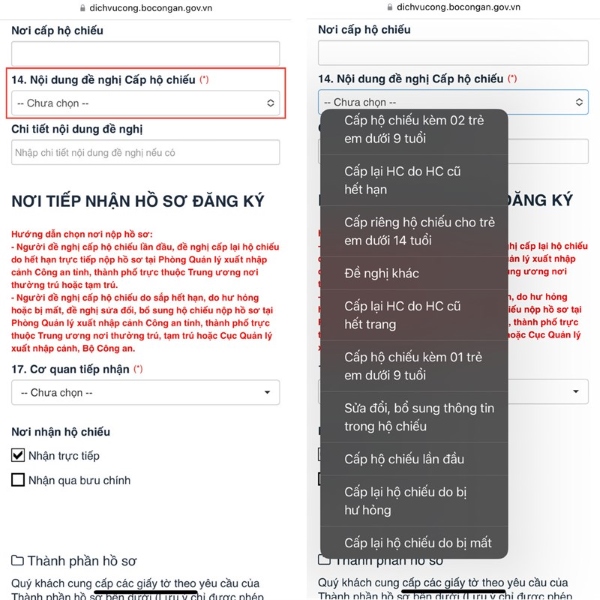 lựa chọn nội dung cấp hộ chiếu điện tử