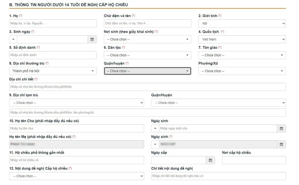 Thủ Tục Làm Hộ Chiếu Cho Trẻ Sơ Sinh Online 5 điền thông tin