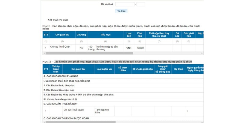 Cách Kiểm Tra Nợ Thuế Thu Nhập Cá Nhân Nhanh, Chuẩn Xác 8 hệ thống thuế việt nam