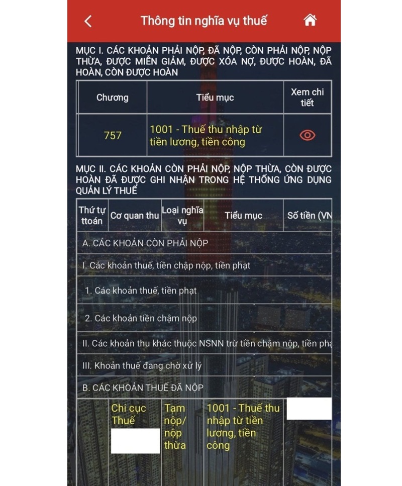 Cách Kiểm Tra Nợ Thuế Thu Nhập Cá Nhân Nhanh, Chuẩn Xác 11 thông tin nghĩa vụ thuế